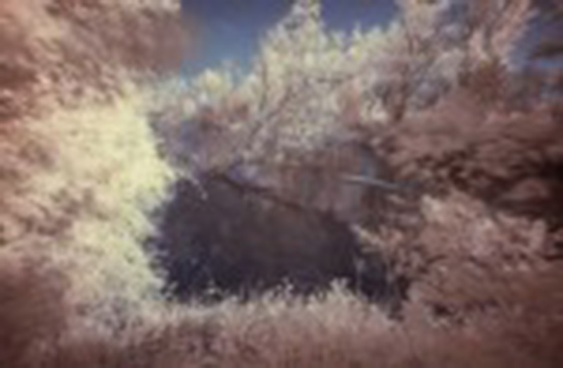travel-WATER-IN-THE-WOODS-INFRARED