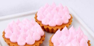 MiniLemon de colores para disfrutar