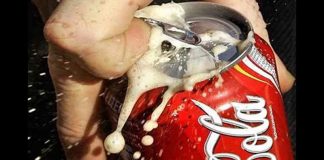 Curiosidades de la Coca Cola, la bebida más famosa del mundo
