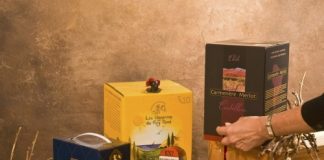 Bag in Box: la nueva forma de tomar vino que pisa fuerte