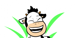 Spika Lion: tienda online de comida vegana