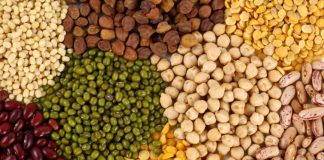 El 2016 fue declarado Año Internacional de las Legumbres