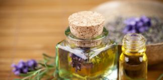 Remedios caseros para alejar a los mosquitos