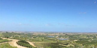 Bodega Garzón: el mega emprendimiento de un argentino en Uruguay