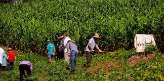 Se viene una nueva edición del Festival Internacional de Cine Ambiental a la Ciudad