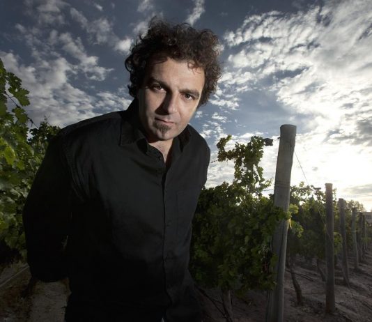 Un vino argentino recibió el puntaje perfecto