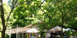 Tigre, un municipio que ofrece en todos sus paseos gastronómicos opciones para celíacos