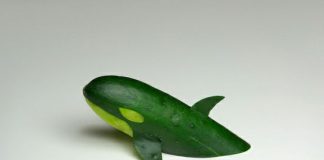 Brock Davis, el artista que transforma la comida en obra de arte