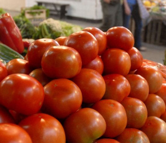 Lanzan un «Bono Tomate» contra la especulación de precios y en apoyo a productores