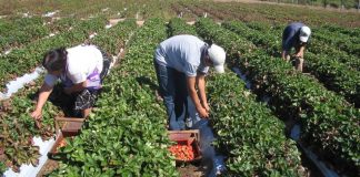 Se viene «M.E.S.A.», el evento gastronómico que apuesta por los productos de estación