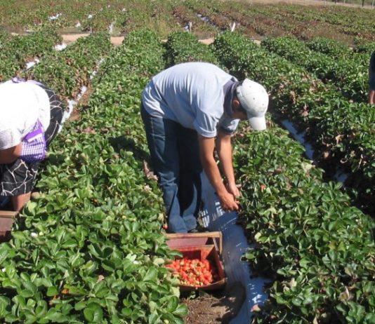 Se viene «M.E.S.A.», el evento gastronómico que apuesta por los productos de estación