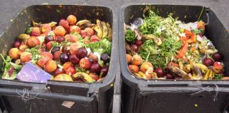 «Lo único que sobra es sabor», la nueva campaña contra el desperdicio de alimentos