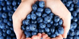 Vuelve la Feria de Productores a Agronomía