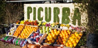 Arranca Picurba, la gran fiesta gastronómica de La Plata