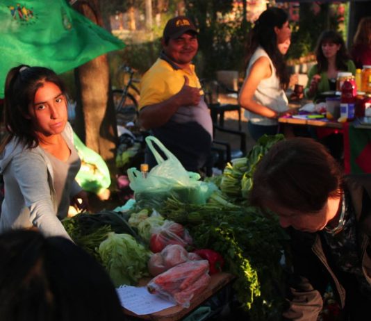 La Feria de Agronomía se agranda