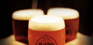 Blue Dog: las mejores cervezas de Palermo