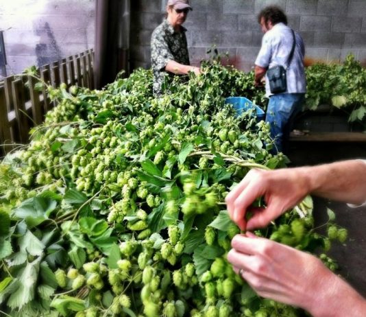 Cerveceros unidos para que el lúpulo sea el emoji de la cerveza artesanal