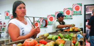 Se viene la fiesta del tomate platense