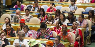 La algarroba y el mistol en la 3ª reunión mundial del Foro de los pueblos Indígenas