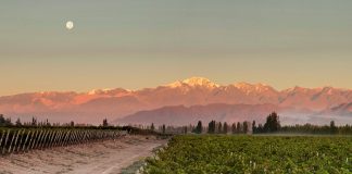 Todo listo para los Argentina Wine Awards