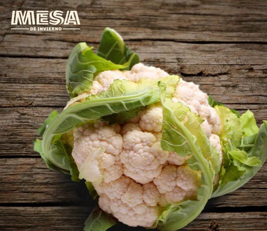 La M.E.S.A. de invierno está servida