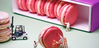 Exposición en la Alianza Francesa: «¿¡Con la comida no se juega?!»