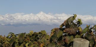 El sueño de la «Finca Propia» es posible