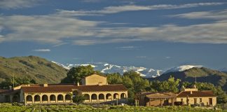 Jorge Riccitelli se suma al equipo de Amalaya y Colomé