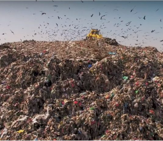 Wasted! Lo nuevo de Anthony Bourdain contra el desperdicio de alimentos