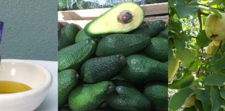 Llegó el otoño y con el, el ciclo MESA de estación