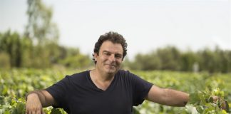 Dos vinos argentinos obtuvieron el puntaje perfecto