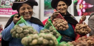 Llega el festival Mistura, la gran feria gastronómica de latinoamerica