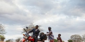 Llega la 9º edición de Green Film Fest, el festival de cine ambiental