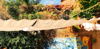 El Gran Paraíso: una parrilla instalada en un conventillo