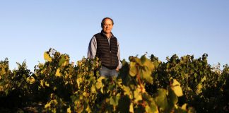 Edy del Popolo: «Cuando se respeta el terroir, los vinos no deberían ser iguales»