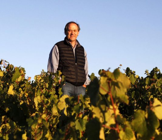 Edy del Popolo: «Cuando se respeta el terroir, los vinos no deberían ser iguales»