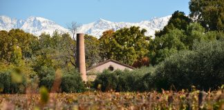 La bodega Lagarde se suma a la comunidad de empresas sustentables «B»