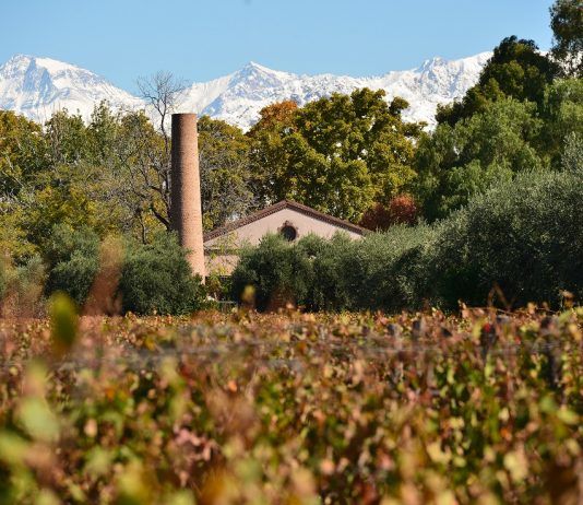 La bodega Lagarde se suma a la comunidad de empresas sustentables «B»