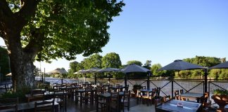 Gastronomía y turismo en Tigre: plan ideal para pasar un día inolvidable