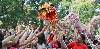 La comunidad china se prepara para recibir el año del Chancho de Tierra