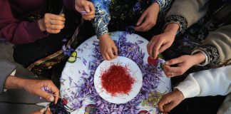 «El Arca del Gusto», un archivo de alimentos milenarios en peligro de extinción