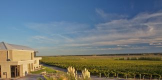 Un malbec patagónico con identidad propia: Saurus Barrel Fermented Malbec