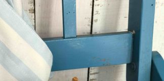 Receta de pastelitos caseros y saludables