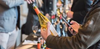 Llega la primera Semana del Vino Patagónico