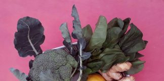 La M.E.S.A de invierno se prepara para una nueva edición