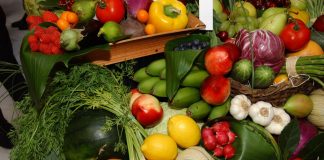 «De la tierra a tu mesa», nuevo programa para promover la agroecología