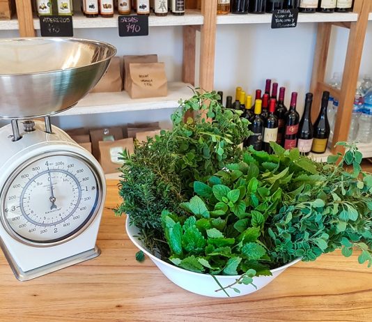 La Pebeta en Cardales, una experiencia de la huerta a la mesa