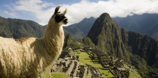 Comenzó Peru Week: viajes y gastronomía a precios especiales