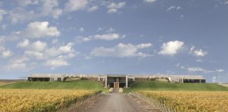 Trenzas de Agua, un vino que nació entre la unión de una bodega y la montaña