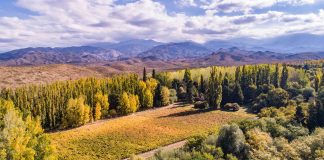 San Pablo IG, una nueva denominación de origen en Valle de Uco